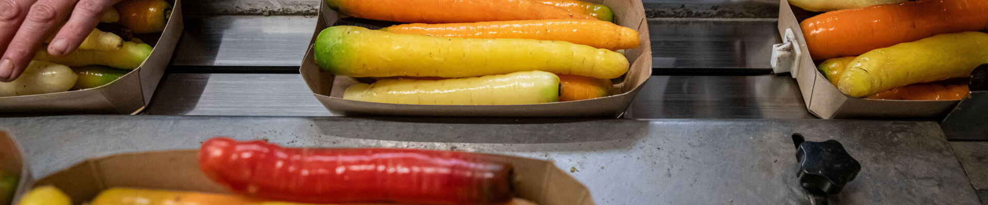 Les légumes biologiques emballés durablement en barquettes