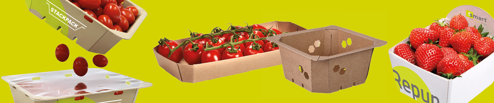 PPWR: how do the new European packaging rules affect your business?