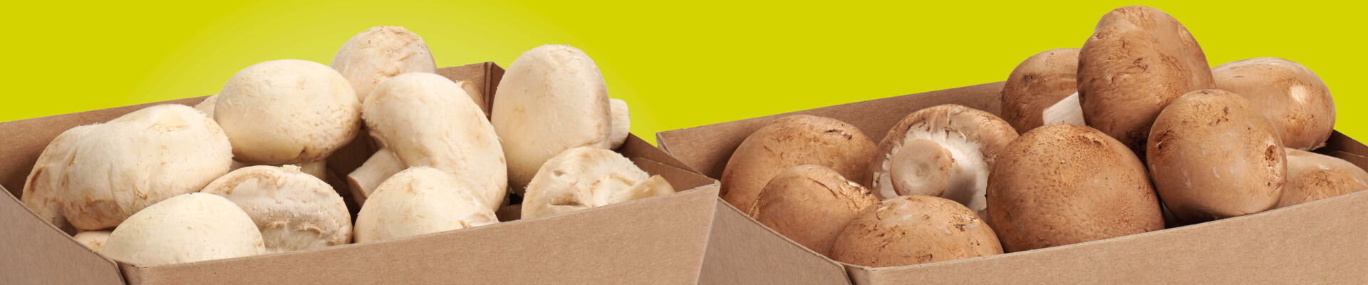Up to 20% less material: how Smart Packaging Solutions is making packaging lighter