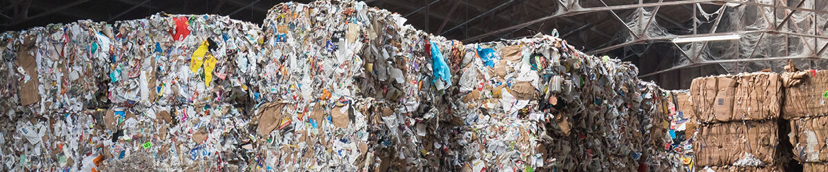 Van oud papier tot topverpakking: Smart Packaging Solutions sluit zich aan bij FNOI