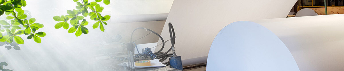 VPK Group consigue la distinción Platino en EcoVadis