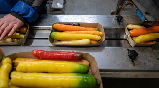 Biologische groente duurzaam verpakt in punnet